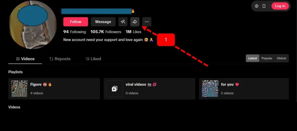 Tiktok user Profile link copy (Tiktok Bulk Video Downloader)