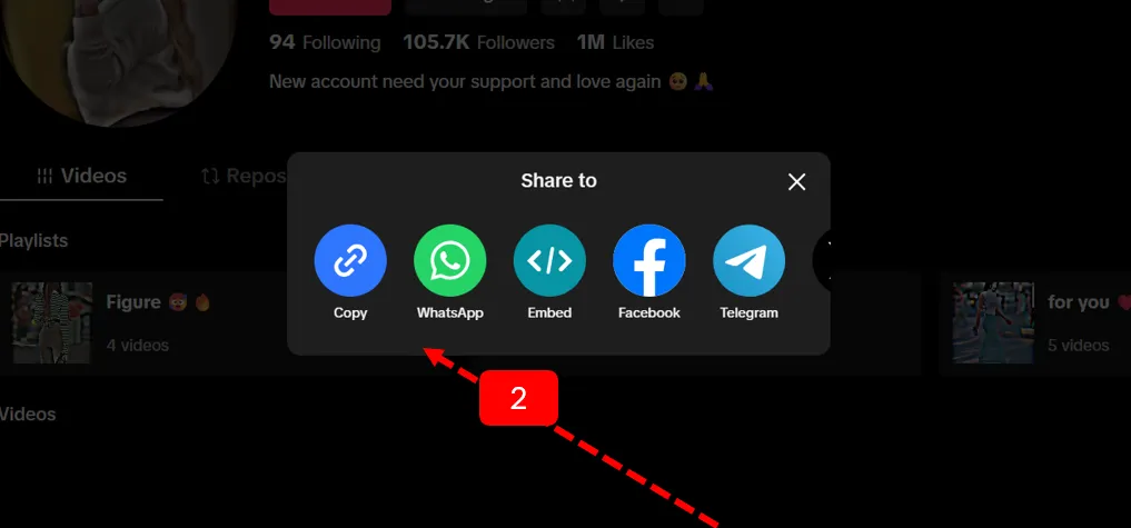 tiktok bulk video downloader ( profile link copy method